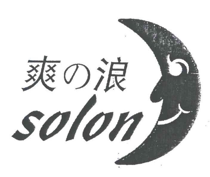 爽浪SOLON及图