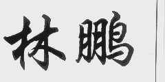 林鹏