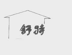 舒特