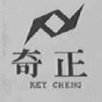 奇正