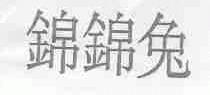 锦锦兔