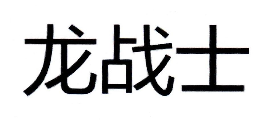 龙战士