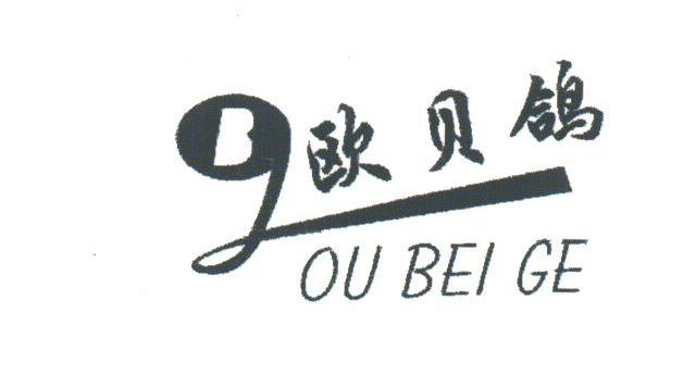 欧贝鸽