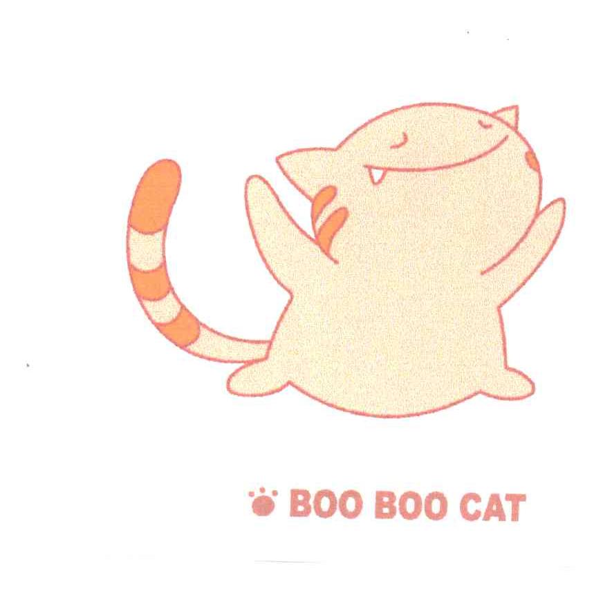 BOO BOO CAT