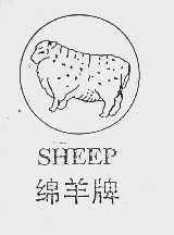 绵羊  SHEEP