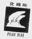 北极熊   POLAR BEAR