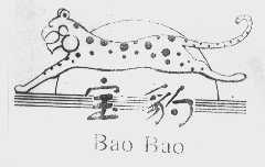 宝豹