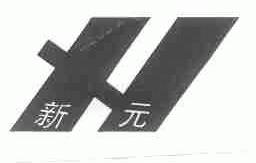新元