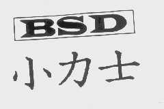 小力士   BSD