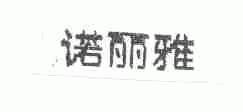 诺丽雅
