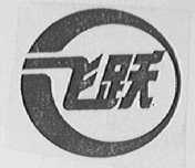 飞跃