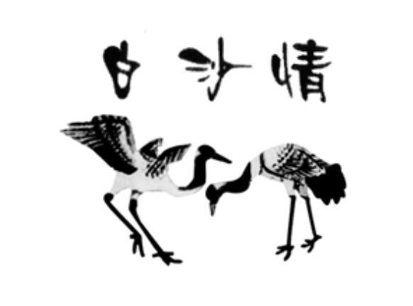 白沙情