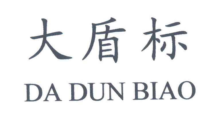 大盾标