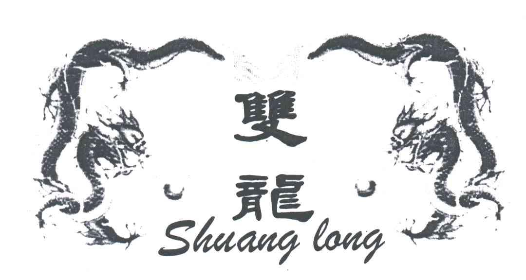 双龙;SHUANG LONG