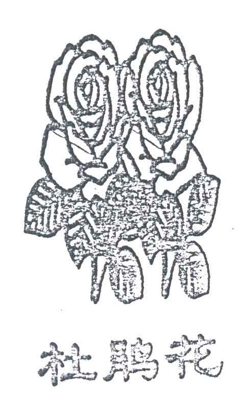 杜鹃花