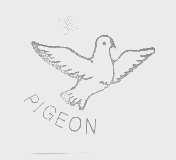 鸽   PIGEON
