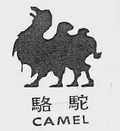 骆驼  CAMEL