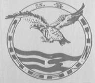 江鹰