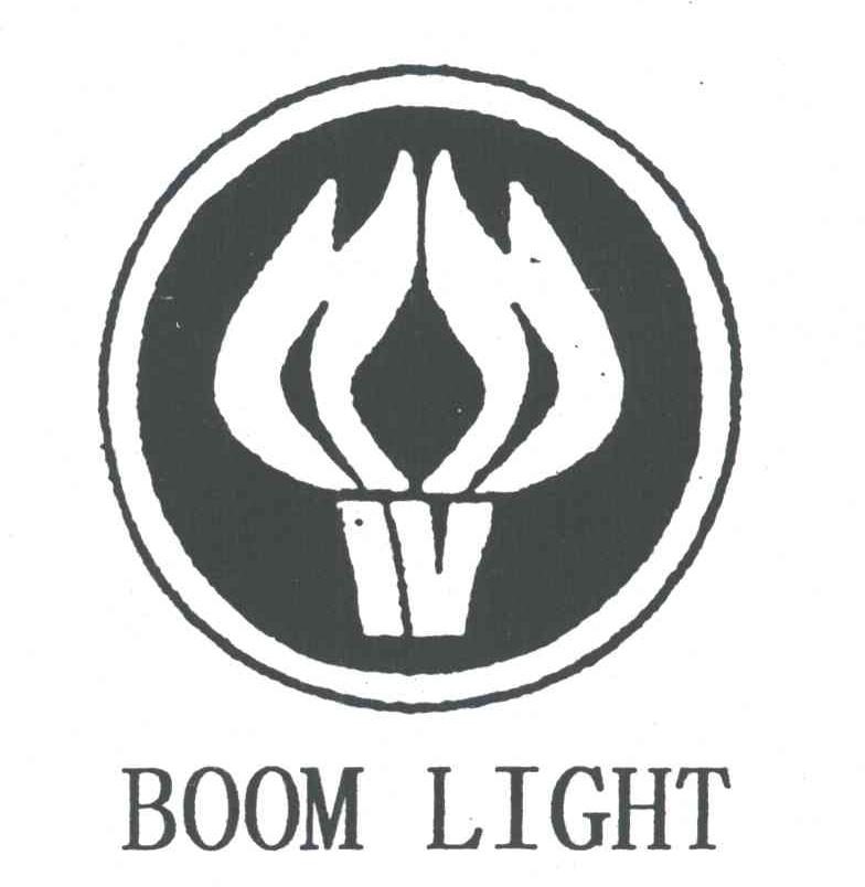 BOOM LIGHT