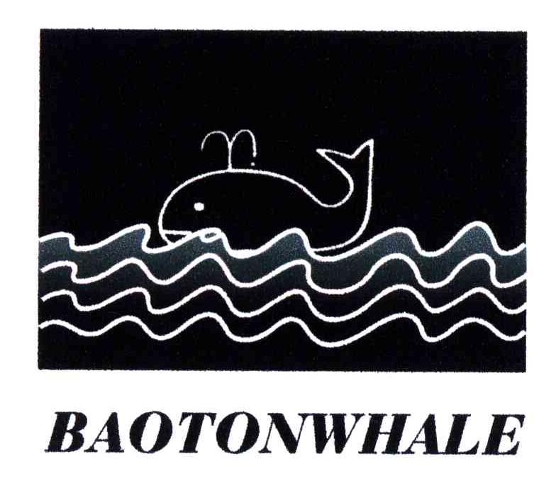 BAOTONWHALE