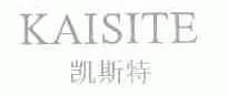 凯斯特