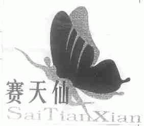 赛天仙