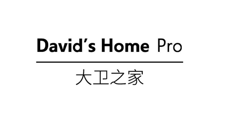 大卫之家 DAVID&rsquo;S HOME PRO