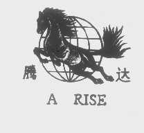 腾达   A RISE