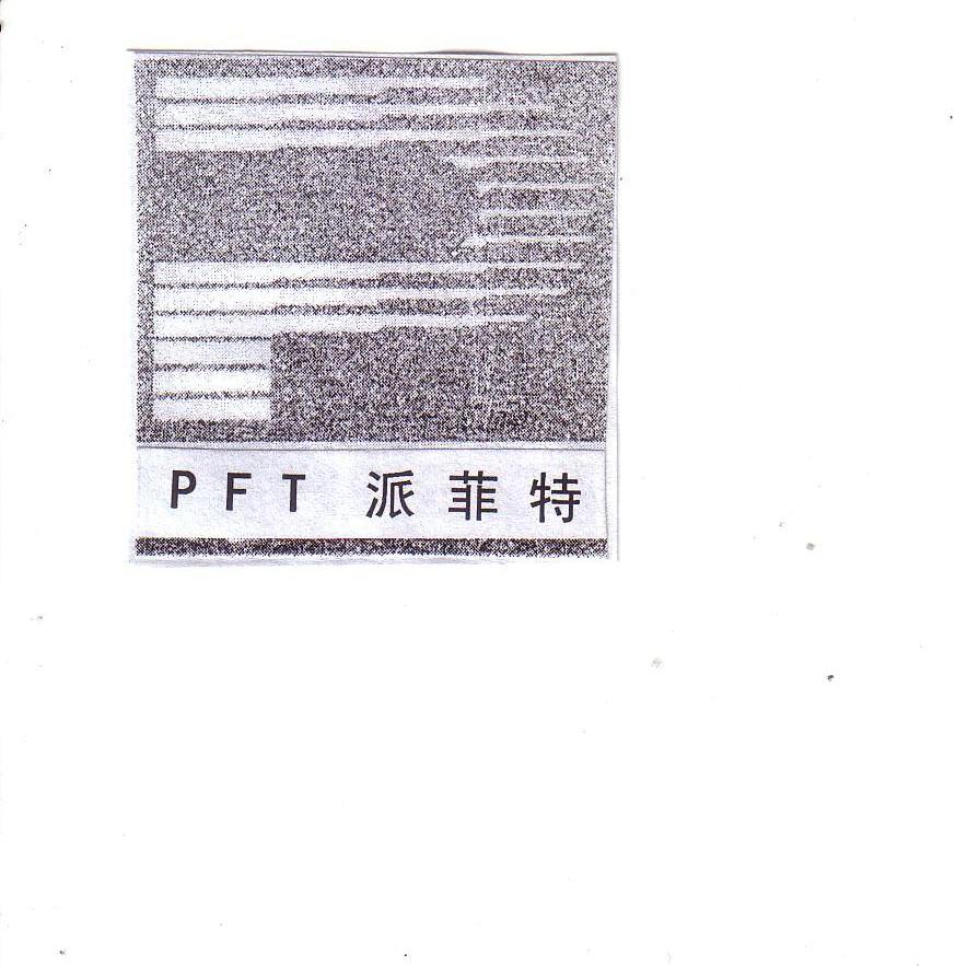 派菲特 PFT P