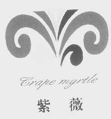 紫薇