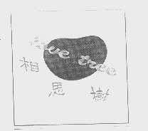 相思树   LOVE TREE