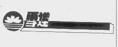 雪莲