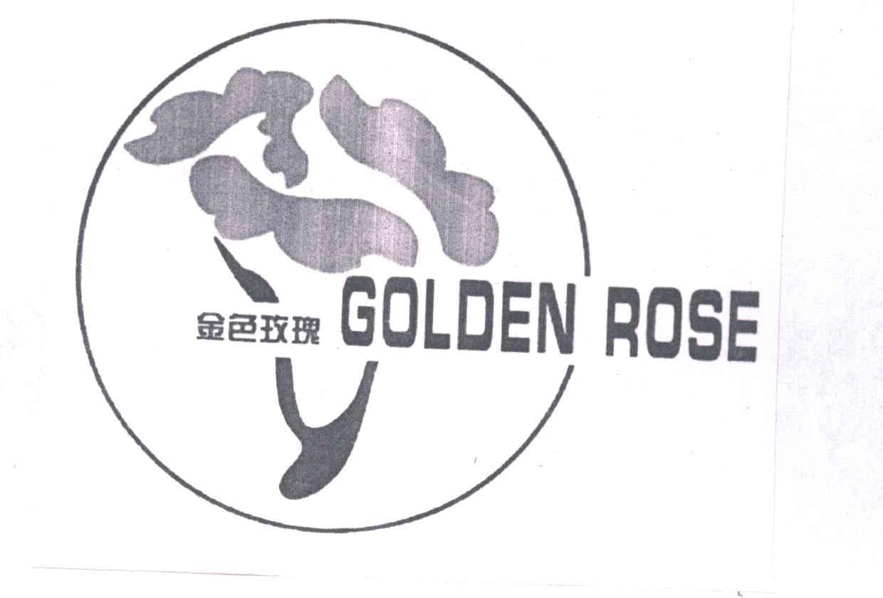 金色玫瑰;GOLDEN ROSE