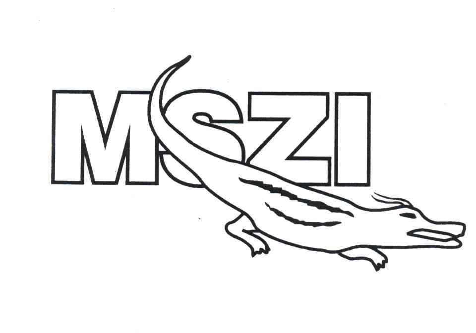 MSZI