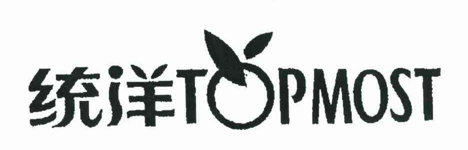 统洋 TOPMOST