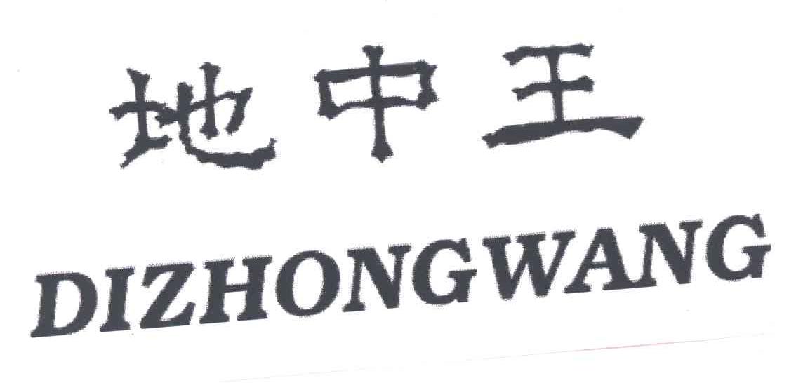 地中王