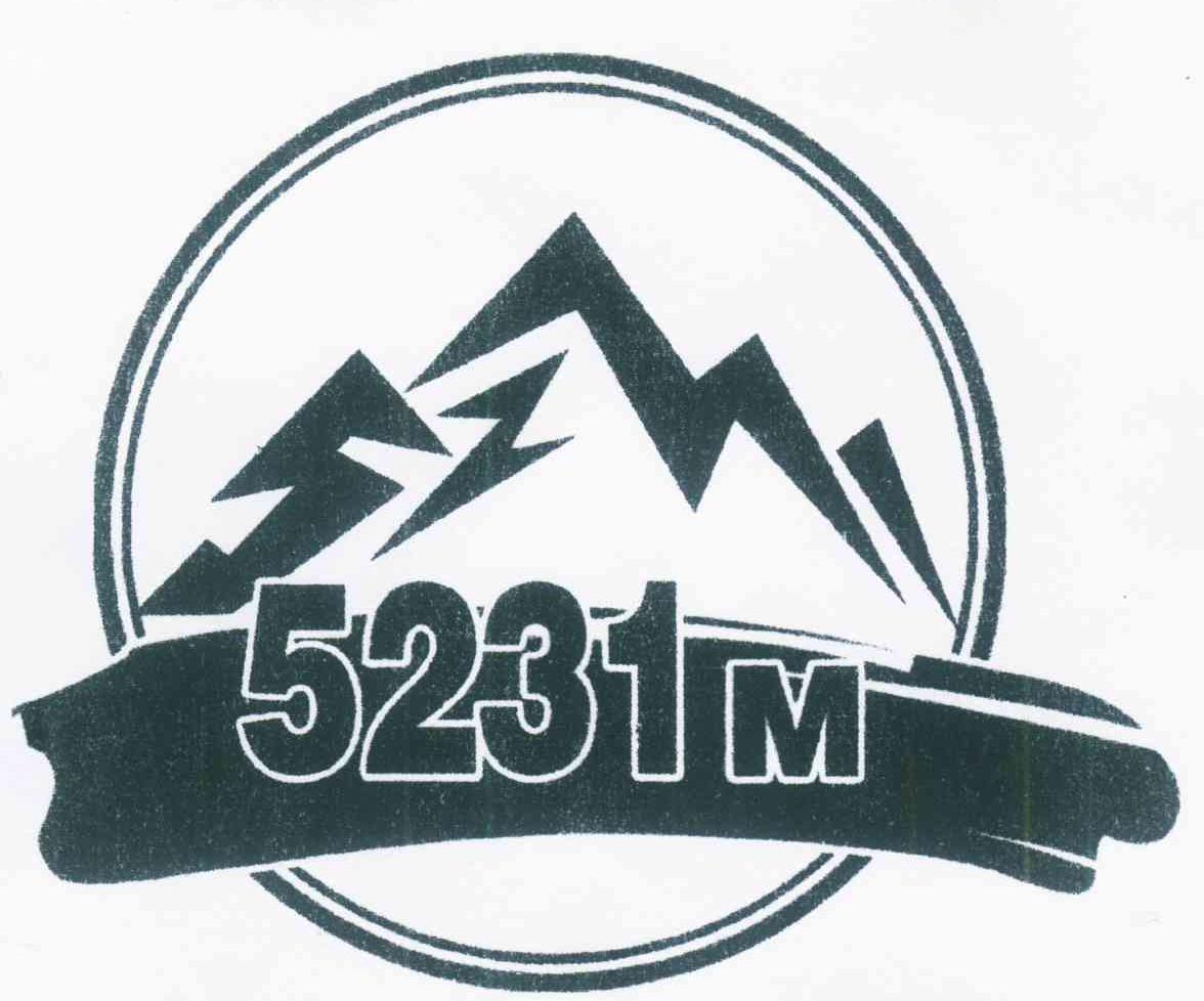 5231 M