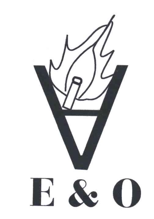 E&O