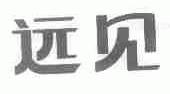 远见