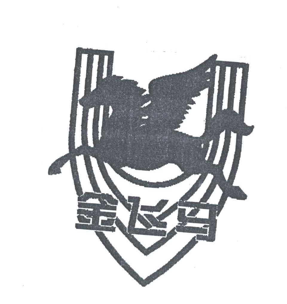 金飞马