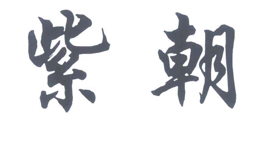 紫朝