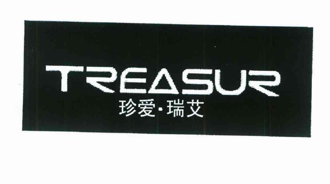 珍爱 瑞艾 TREASUR