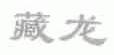 藏龙
