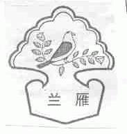 兰雁