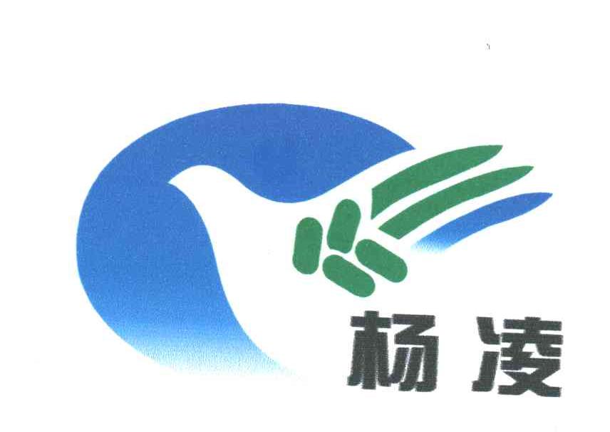 杨凌