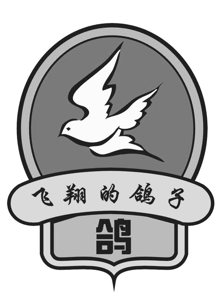 飞翔的鸽子