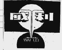 威利  WAI LEI