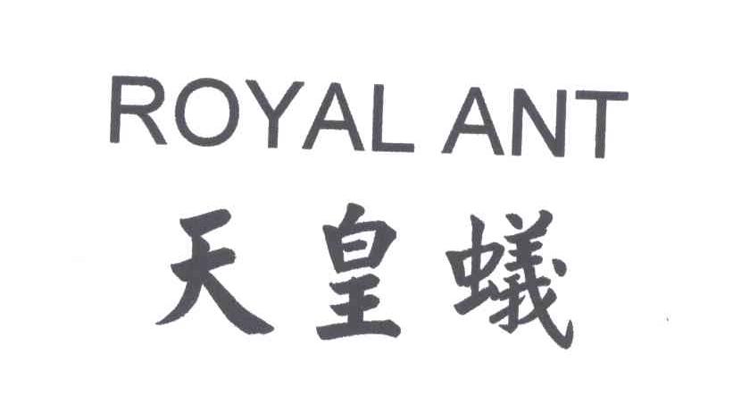 天皇蚁ROYAL ANT