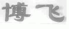 博飞