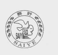 赛野   SAIY
